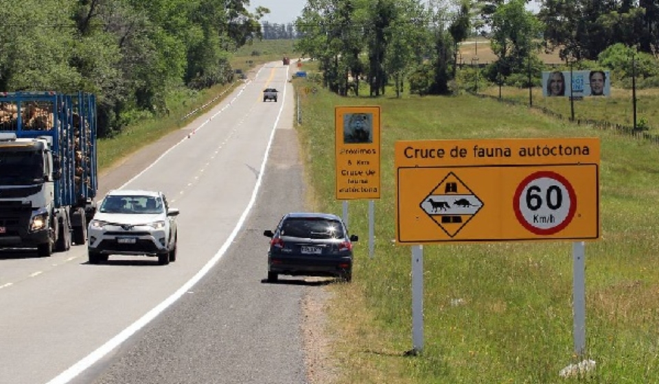 cartelería de fauna en ruta 9c